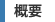概要